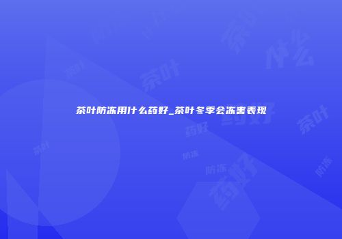 茶叶防冻用什么药好_茶叶冬季会冻害表现