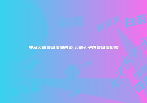 收藏云南普洱茶和白茶,云南七子饼普洱茶价格