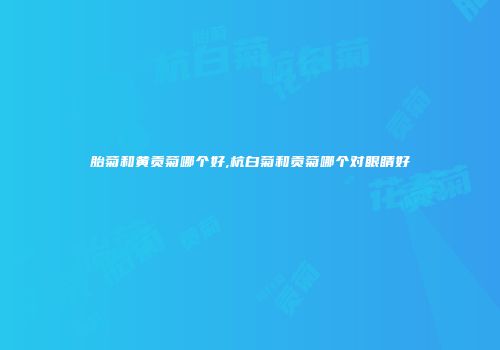 胎菊和黄贡菊哪个好,杭白菊和贡菊哪个对眼睛好