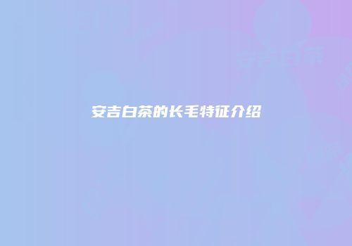 安吉白茶的长毛特征介绍