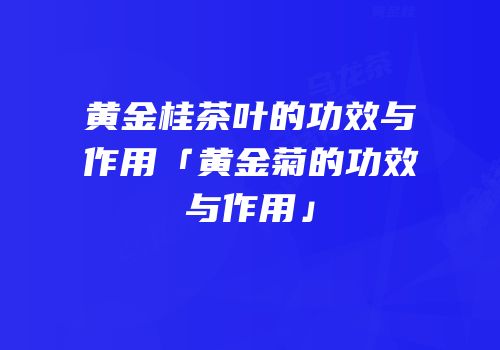 黄金桂茶叶的功效与作用「黄金菊的功效与作用」