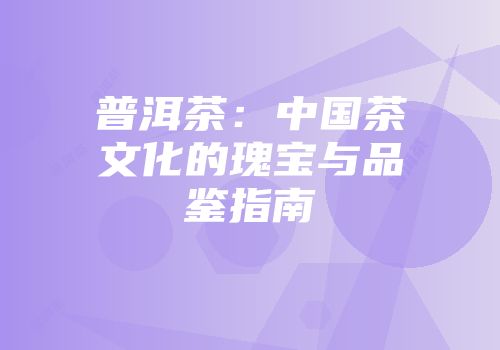 普洱茶：中国茶文化的瑰宝与品鉴指南