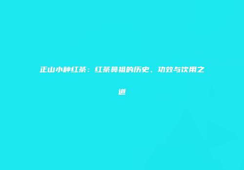 正山小种红茶：红茶鼻祖的历史、功效与饮用之道