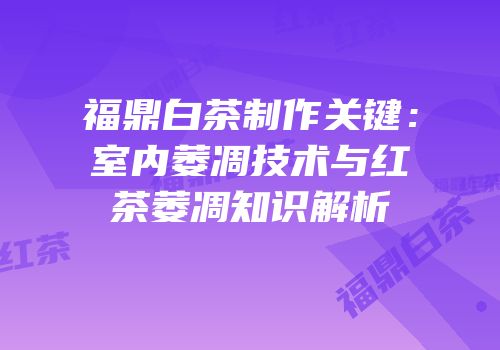 福鼎白茶制作关键：室内萎凋技术与红茶萎凋知识解析