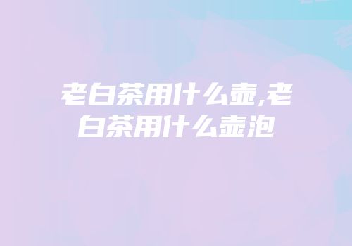 老白茶用什么壶,老白茶用什么壶泡