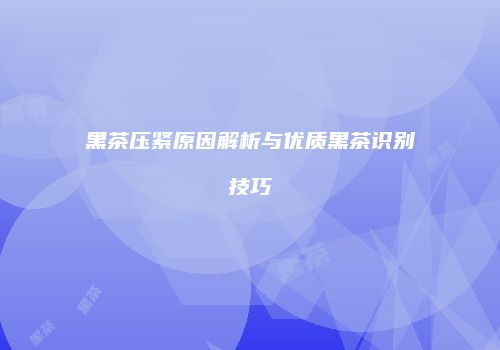 黑茶压紧原因解析与优质黑茶识别技巧