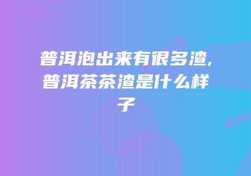 普洱泡出来有很多渣,普洱茶茶渣是什么样子
