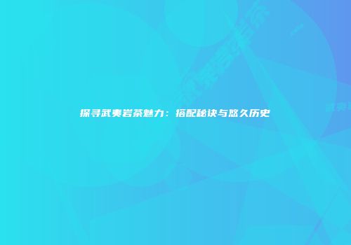 探寻武夷岩茶魅力：搭配秘诀与悠久历史