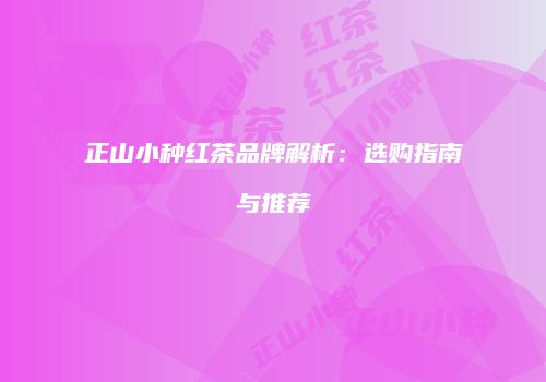 正山小种红茶品牌解析：选购指南与推荐