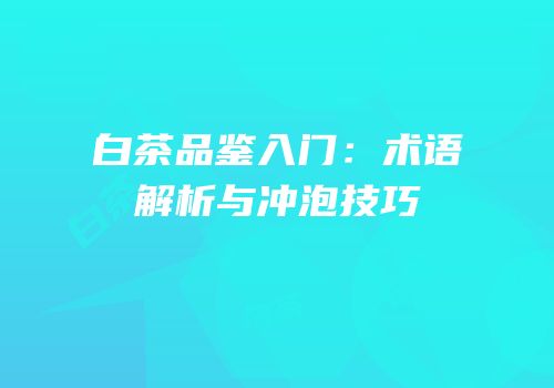 白茶品鉴入门：术语解析与冲泡技巧