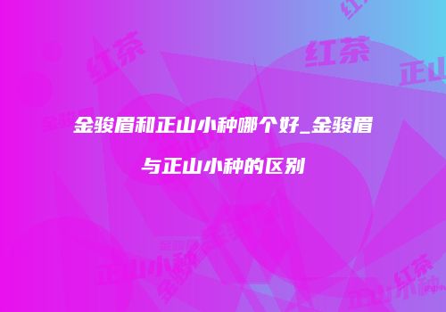 金骏眉和正山小种哪个好_金骏眉与正山小种的区别