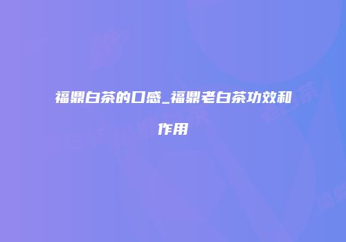 福鼎白茶的口感_福鼎老白茶功效和作用