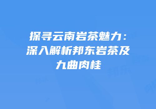 探寻云南岩茶魅力：深入解析邦东岩茶及九曲肉桂