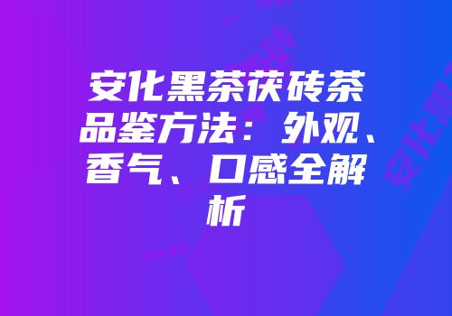 安化黑茶茯砖茶品鉴方法：外观、香气、口感全解析