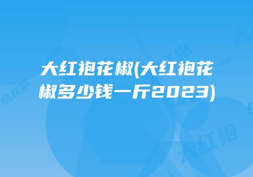大红袍花椒(大红袍花椒多少钱一斤2023)