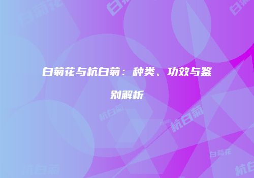白菊花与杭白菊：种类、功效与鉴别解析