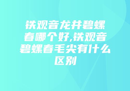 铁观音龙井碧螺春哪个好,铁观音碧螺春毛尖有什么区别