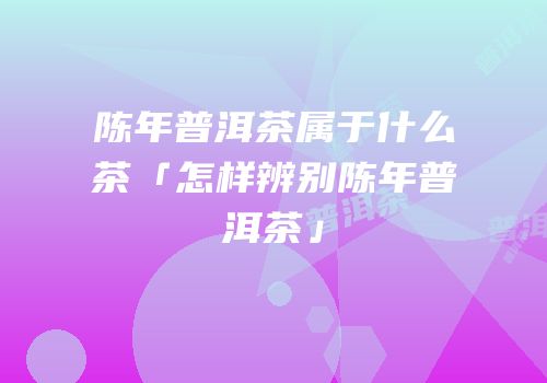 陈年普洱茶属于什么茶「怎样辨别陈年普洱茶」