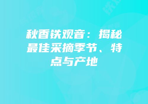 秋香铁观音：揭秘最佳采摘季节、特点与产地