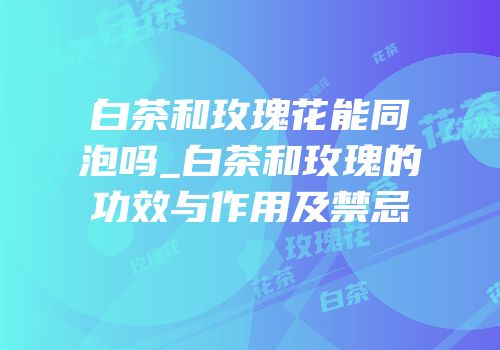 白茶和玫瑰花能同泡吗_白茶和玫瑰的功效与作用及禁忌