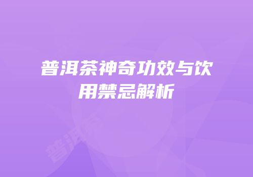 普洱茶神奇功效与饮用禁忌解析