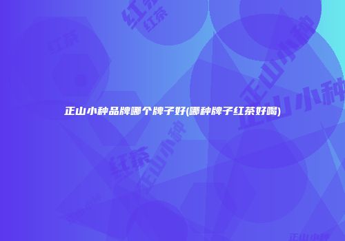正山小种品牌哪个牌子好(哪种牌子红茶好喝)