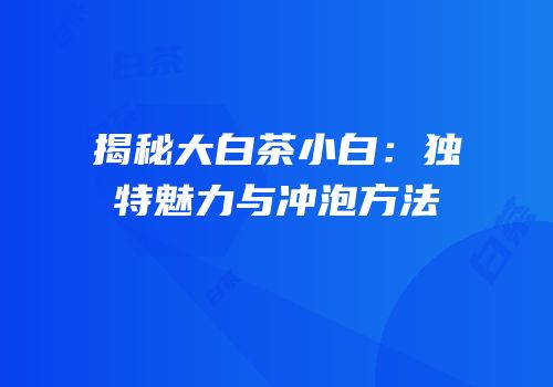 揭秘大白茶小白：独特魅力与冲泡方法