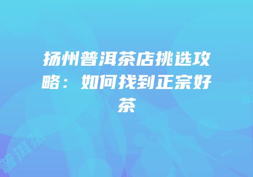 扬州普洱茶店挑选攻略：如何找到正宗好茶