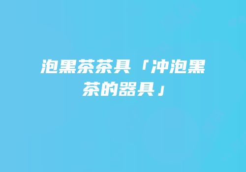 泡黑茶茶具「冲泡黑茶的器具」