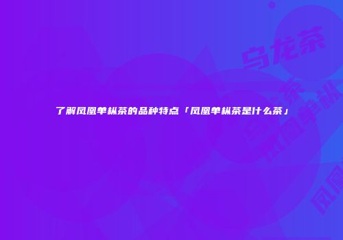 了解凤凰单枞茶的品种特点「凤凰单枞茶是什么茶」