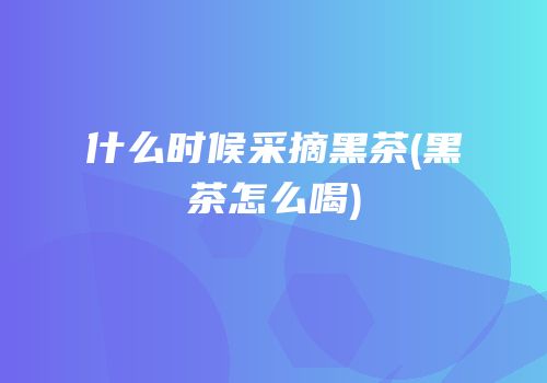什么时候采摘黑茶(黑茶怎么喝)