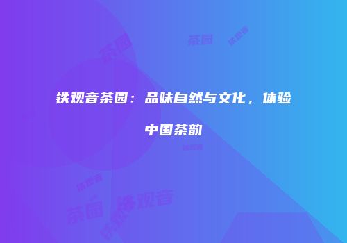 铁观音茶园：品味自然与文化，体验中国茶韵