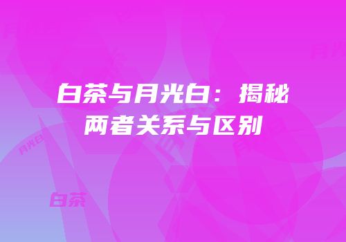 白茶与月光白：揭秘两者关系与区别