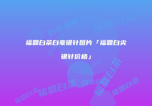 福鼎白茶白毫银针图片「福鼎白尖银针价格」
