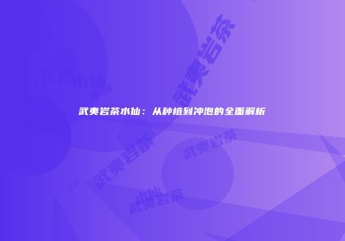 武夷岩茶水仙：从种植到冲泡的全面解析