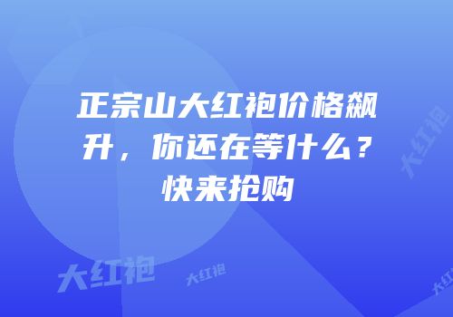 正宗山大红袍价格飙升，你还在等什么？快来抢购