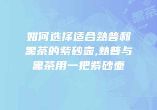 如何选择适合熟普和黑茶的紫砂壶,熟普与黑茶用一把紫砂壶
