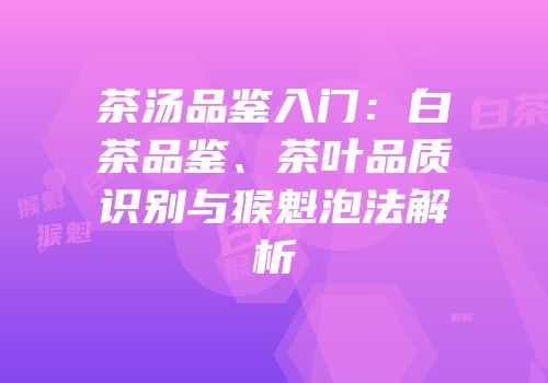 茶汤品鉴入门：白茶品鉴、茶叶品质识别与猴魁泡法解析