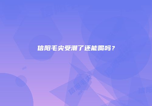 信阳毛尖受潮了还能喝吗？