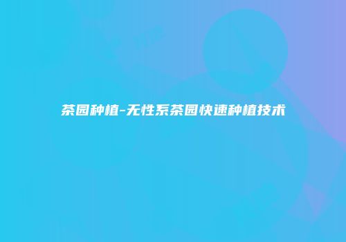 茶园种植-无性系茶园快速种植技术