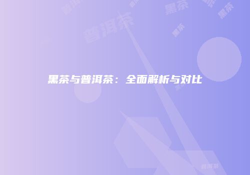 黑茶与普洱茶：全面解析与对比