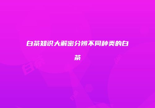 白茶知识大解密分辨不同种类的白茶