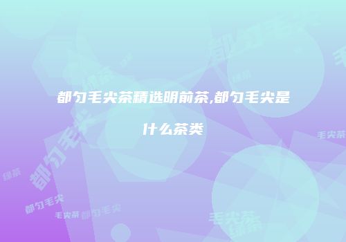 都匀毛尖茶精选明前茶,都匀毛尖是什么茶类