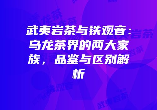 武夷岩茶与铁观音：乌龙茶界的两大家族，品鉴与区别解析
