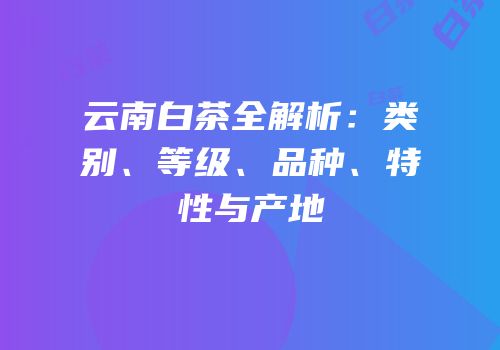 云南白茶全解析：类别、等级、品种、特性与产地