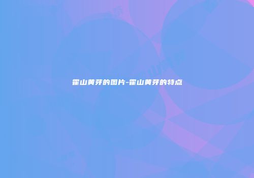 霍山黄芽的图片-霍山黄芽的特点