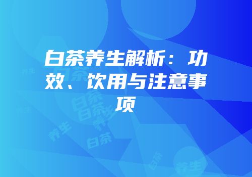 白茶养生解析：功效、饮用与注意事项