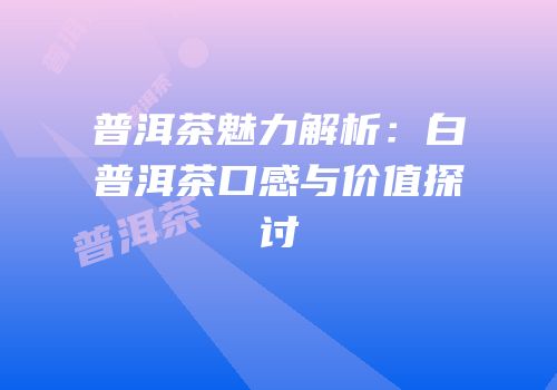 普洱茶魅力解析：白普洱茶口感与价值探讨