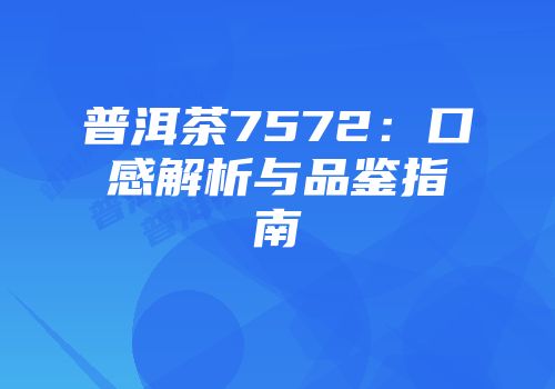 普洱茶7572：口感解析与品鉴指南
