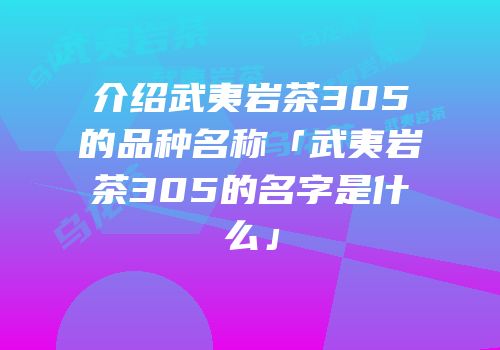 介绍武夷岩茶305的品种名称「武夷岩茶305的名字是什么」